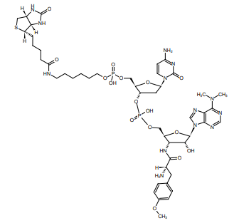 Biotin-dC-puromycin，生物素-嘌呤霉素