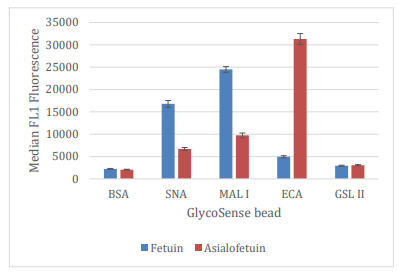 SureLight?488标记的糖蛋白与GlycoSense?珠结合的比较   