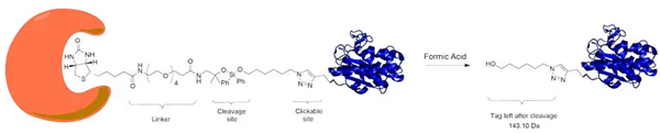 Click Chemistry Tools