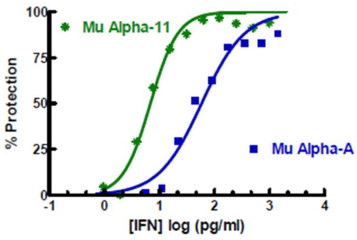 小鼠IFN-α11和IFN-αA抗病毒活性的比较