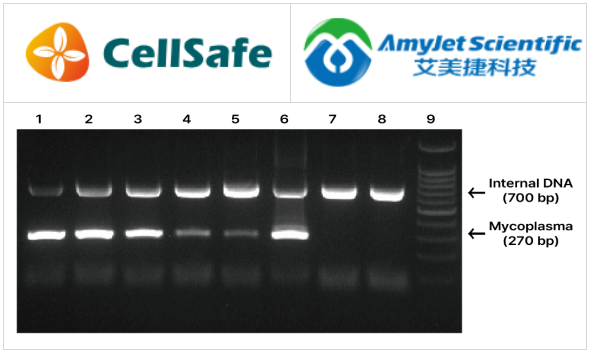 CellSafe