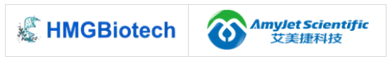 HMGBiotech-P-MHMG1质粒