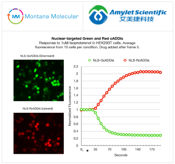 Montana Molecular