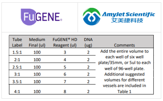 FuGENE HD试剂