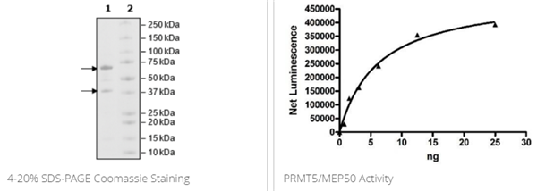 BPS-51045.png