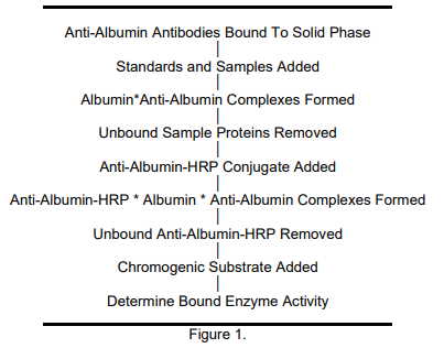 41-ALBMS-E01.png