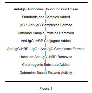 ALP-41-IGGRB-E01.png