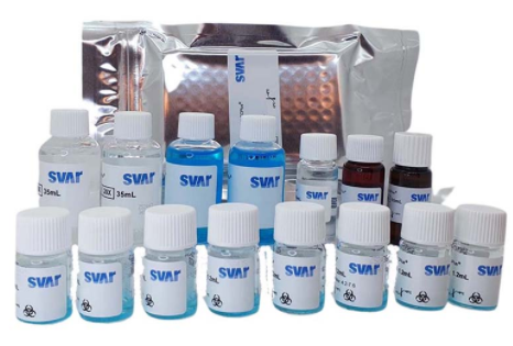 Immunoscan CCPlus 检测试剂盒