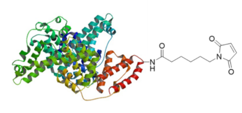 CM52111-1x2MG.png