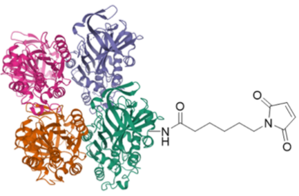 CMC-CM52114-1x2mg.png