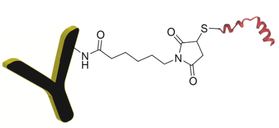 CMC-CM32402x1.png