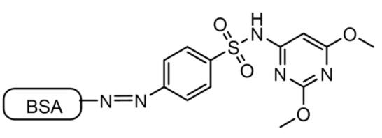 CMC-CM52136-1MG.jpg
