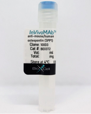InVivoMAb抗小鼠骨桥蛋白(SPP1)