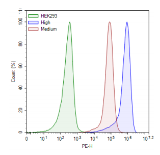 BPS-78526-M.png