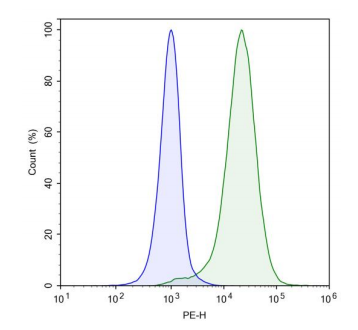 BPS-79755.png