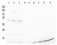 AS22-4842.jpg