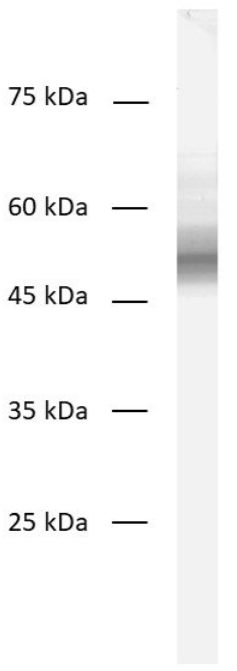 479 003.png