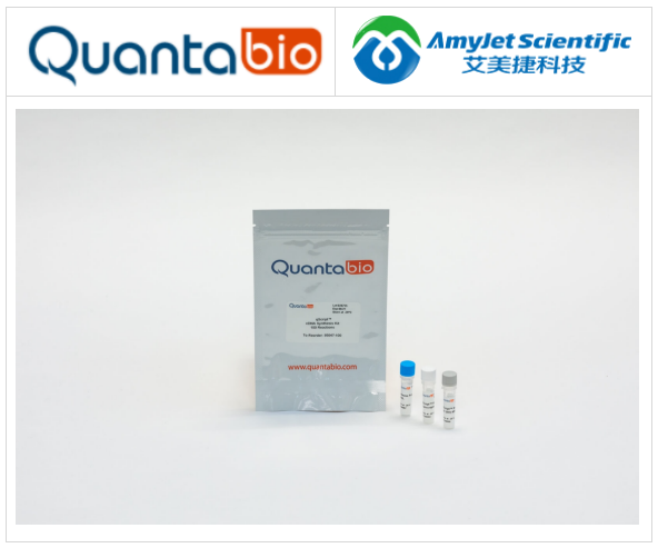 qScript cDNA合成试剂盒