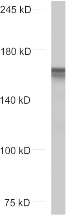504-005.png
