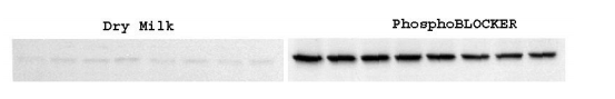 AKR-104.png