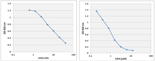 MET-5151-C.png