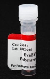 EvaEZ荧光DNA聚合酶活性测定