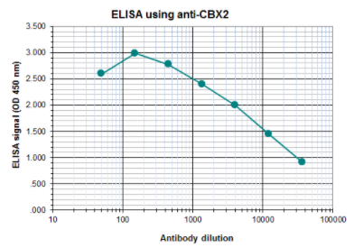BPS-25212.jpg