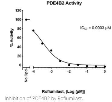PDE4B2实验试剂盒