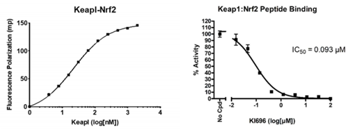 KEAP1-Nrf2抑制剂筛选检测试剂盒