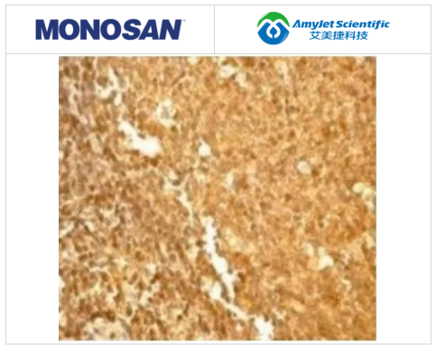 MONOSAN