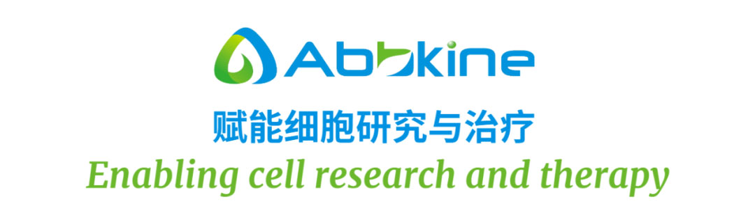 abbkine亚科因.jpg