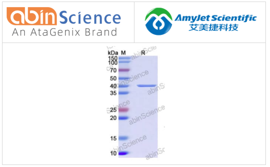 abinscience