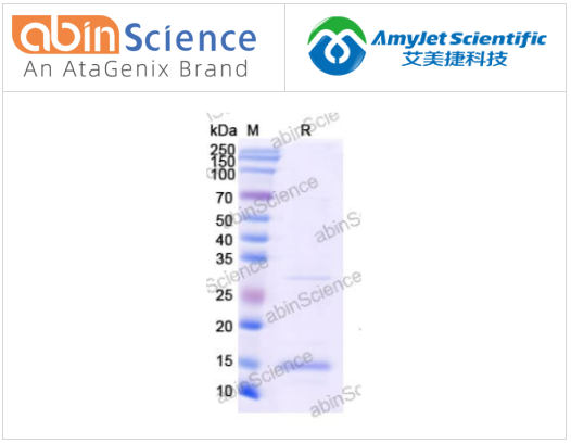 abinscience
