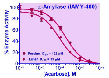 BAS-IAMY-400.jpg