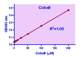 BAS-DCBT-100.jpg