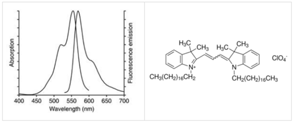 Liposoma-单核巨噬细胞示踪脂质体Dil LPOSOME