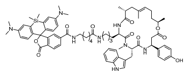 SiR-肌动蛋白试剂盒
