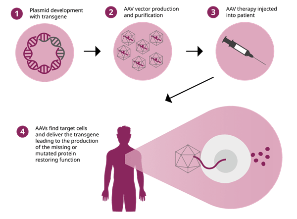 gene-therapy.png