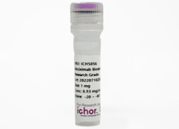 Ichorbio,抗-CD86(GL1)体内抗体