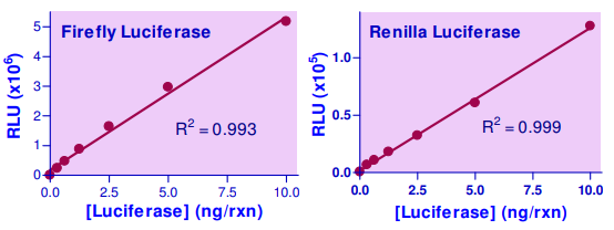BAS-SLDL-100.jpg
