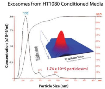 SBI-EXOTC10A-1.jpg