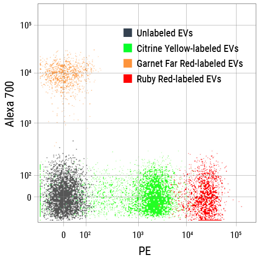 SBI-EXOF100A-2.jpg