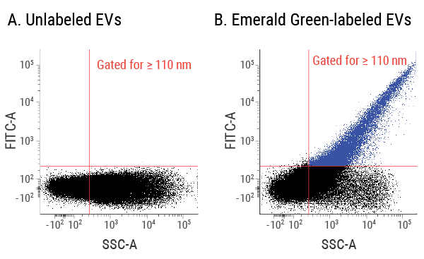 SBI-EXOF200A-3.jpg