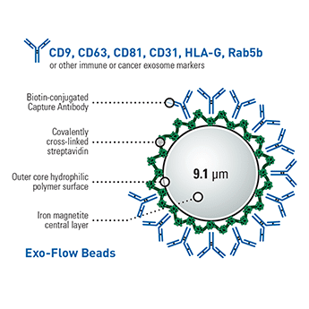SBI-EXOFLOW600A-1.png