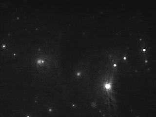 exo-flow32-exo-flow96-nanosight-serum-exosomes-cd63.gif