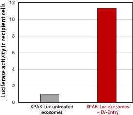 ev-entry-increases-delivery-of-xpack-luciferase.jpg