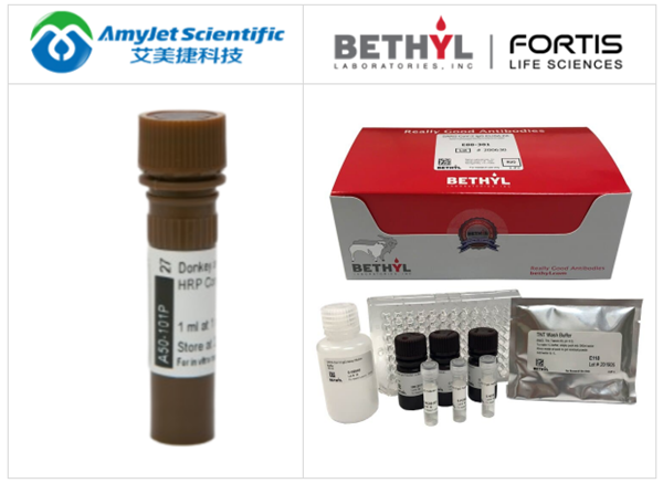 Bethyl Laboratories