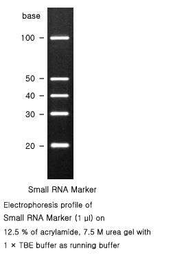 qc_test-R0007-1.jpg