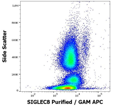 抗人SIGLEC8纯化抗体