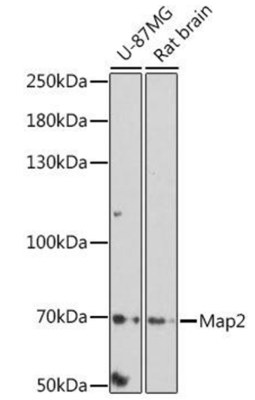 CAB0453.jpg